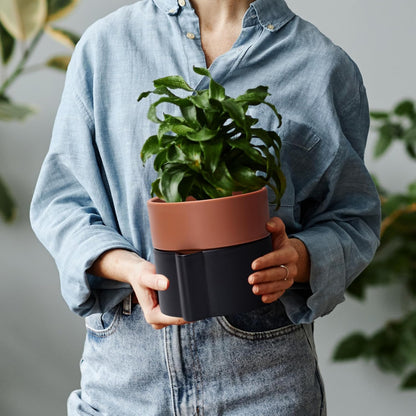 6.5 Inch Self-Watering Planter Pot with Terracotta Insert, Deep Water Reservoir, and Ceramic-Alike