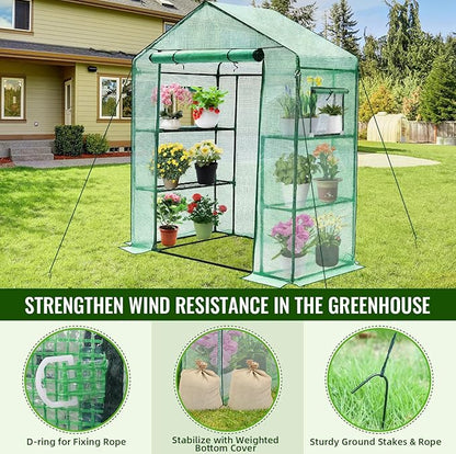 Greengro Greenhouse, 28 x 57 x 76'' Greenhouses for Outdoors, Small Plant Green House with Screen