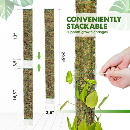 DUSPRO D-Shaped Plastic Moss Poles for Climbing Plants Monstera Stackable Moss Pole for Plants Moss