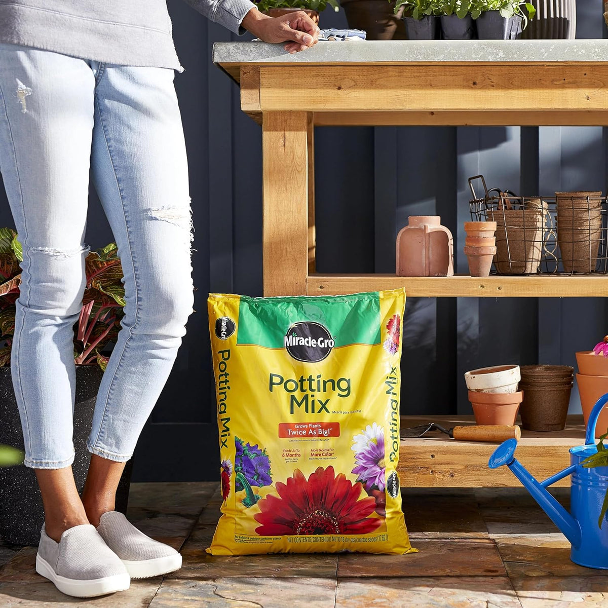 Miracle-Gro Potting Mix, For Container Plants, Flowers, Vegetables, Annuals, Perennials, Shrubs