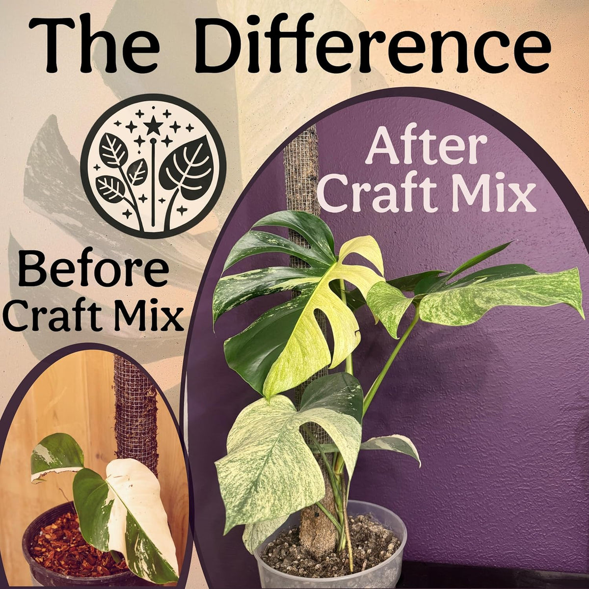 Craft Aroid Potting Mix- Elite Organic Alocasia, Philodendron, Monstera Soil Mix, Chunky, Well