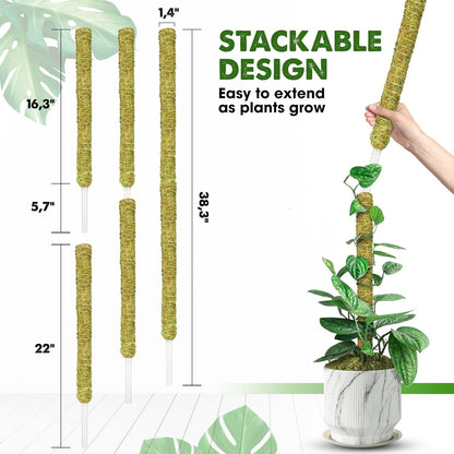 DUSPRO Natural Stackable Moss Pole for Plants Monstera, Forest Moss Sticks, Monstera Plant Support