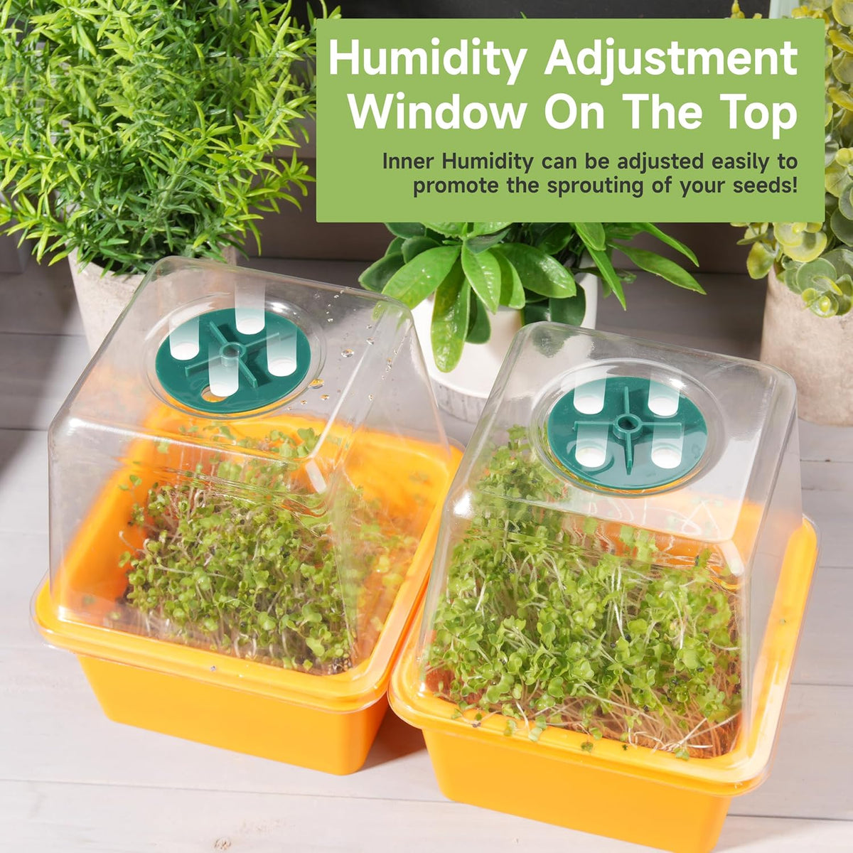 Microgreen Growing Trays, LUVCSOY Sprouting Tray with Humidity Dome, 1.2 mm Small Mesh Holes, BPA