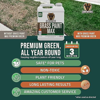 PetraMax Max Grass Paint for Lawn - Maintain Perfect Green Grass, Spray for Lawn & Shrubs Green