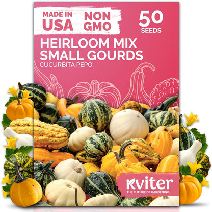 KVITER 50 Small Gourd Seeds Mix (Cucurbita Pepo) – Ornamental Fall Decor Gourds, Non GMO & Organic