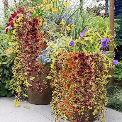 6 Pcs Artificial Fall Hanging Flowers Outdoor Silk Mum Plants Autumn Decor Faux Violet with
