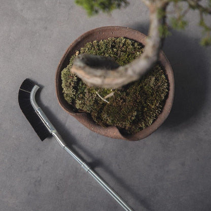 Wazakura Bonsai Curved Head Brush Made in Japan 9-1/4inch(235mm) - Black
