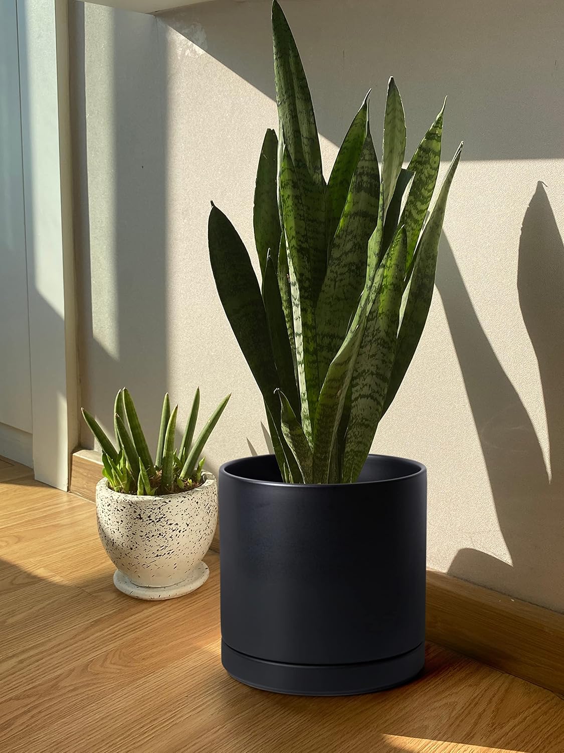D'vine Dev 12 Inch Ceramic Planter Pot with Drainage Hole and Saucer, Indoor Cylinder Round Planter