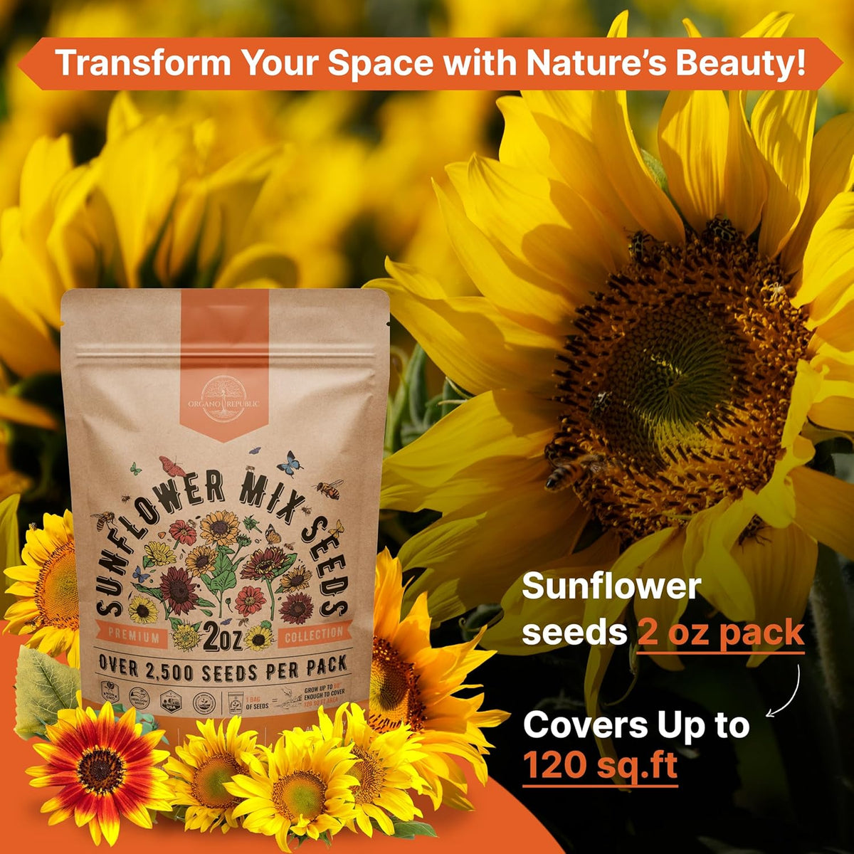 Sunflower Mix Seeds Pack 2 oz - Over 2,500 Non-GMO Heirloom Sunflower Seeds for Planting, Annual