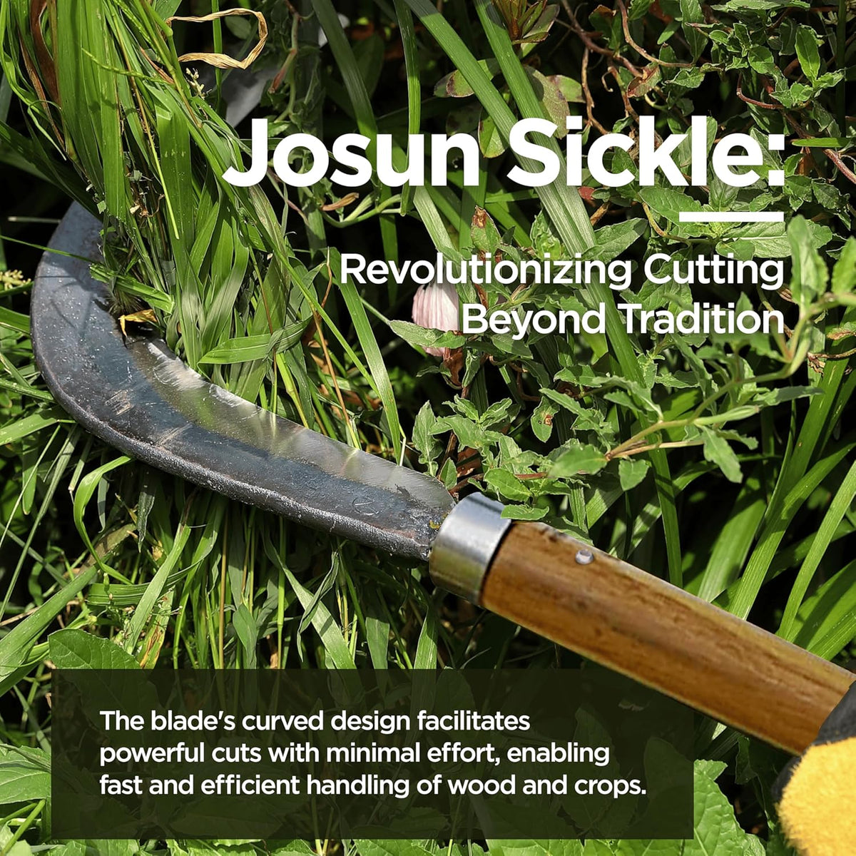 Josun Sickle - Hand-Forged Handmade Korean Weeding and Brush Clearing Tool with Razor-Sharp Blade