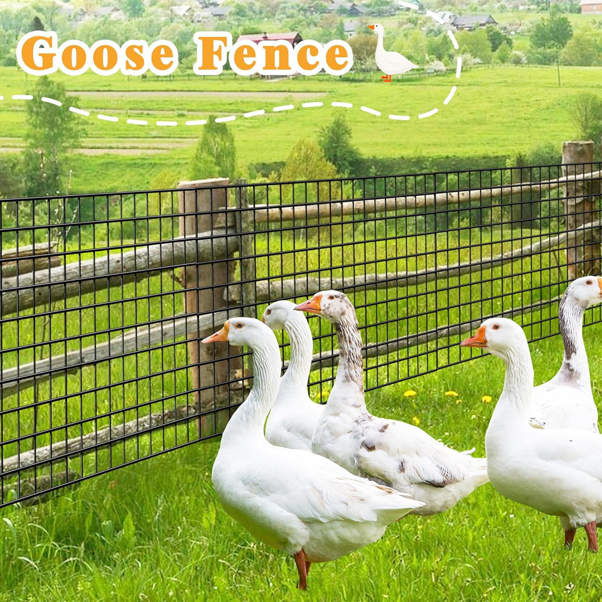 Black Metal Garden Fence, 60inch(H) x 50ft(L), 2 inch x 4 inch,12.5GA 2/3/4/5/6 Ft Tall Chicken