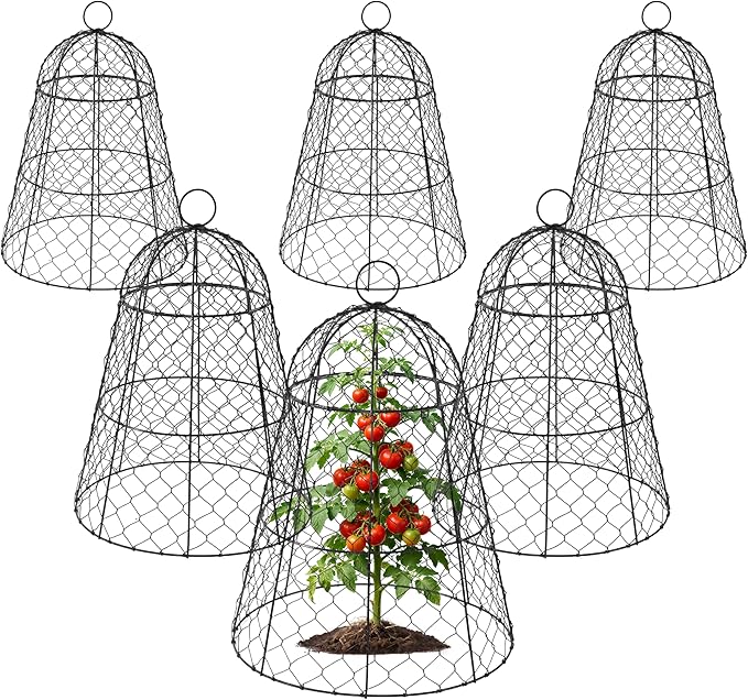 FRUITEAM Metal Plant Covers 6pcs, Heavy Duty Garden Cloche Plant Cage for Outdoor, 13"x15.8"H