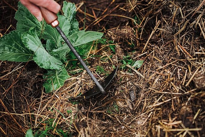 Barebones Triangle Hoe - Stainless Steel Hoe - Japanese Gardening Tools for Weeding, Long Handle