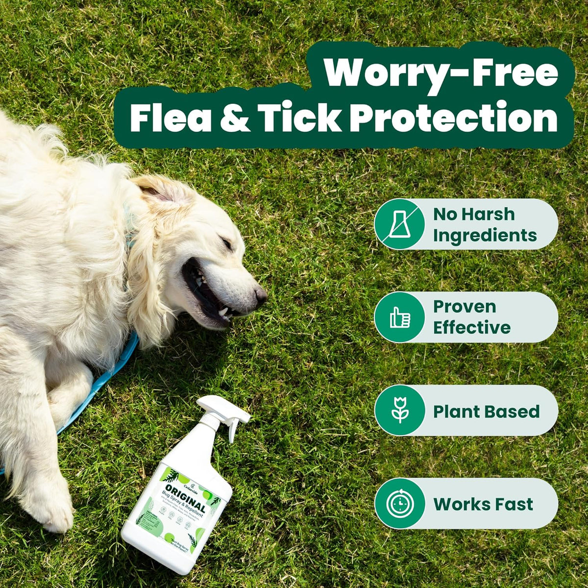 Cedarcide Original: Eco-Friendly Bug Spray - Repel & Kill Fleas, Ticks, Mosquitoes, Mites, Ants &