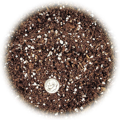 GARDENERA Premium Jade Plant Potting Soil Mix - 20 Quart (4 Bags of 5 Quart)