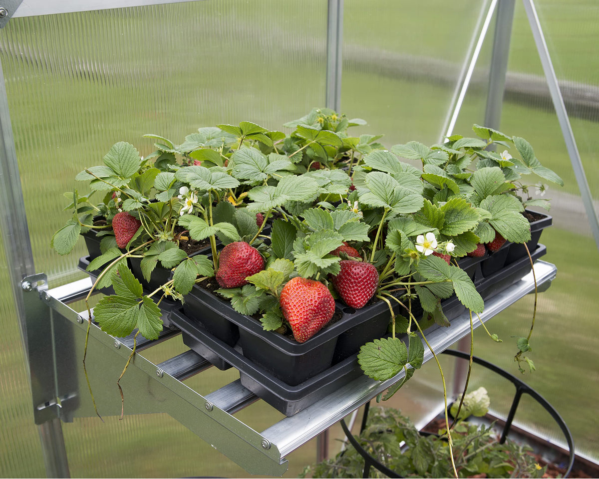 Palram - Canopia Four Heavy Duty Shelf Kits for Most Canopia Greenhouses