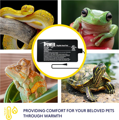 iPower 4 by 7-Inch 4W Reptile Heat Mat, LCD Digital Aquarium Thermometer, Under Tank Warmer