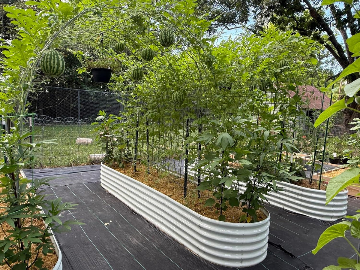 A ANLEOLIFE 3-Pack 12X3X1.5ft & 81x81x18 in Deep Root Galvanized Raised Garden Beds Outdoor for