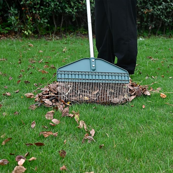 Thatch Rake & Leaves Rake 66-Inch Adjustable S/S Handle Heavy-Duty Design for Garden Lawns and