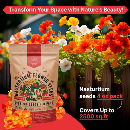 Nasturtium Seeds Pack 4 oz - Over 700 Non-GMO Heirloom Nasturtium Seeds for Planting, Edible