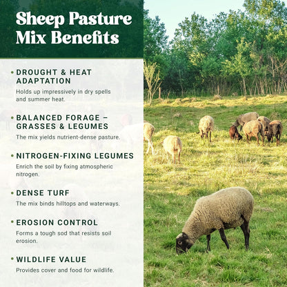 Nature's Seed Northern Sheep Forage Mix, Cattle Pasture Grass Seed Cool-Season Blend