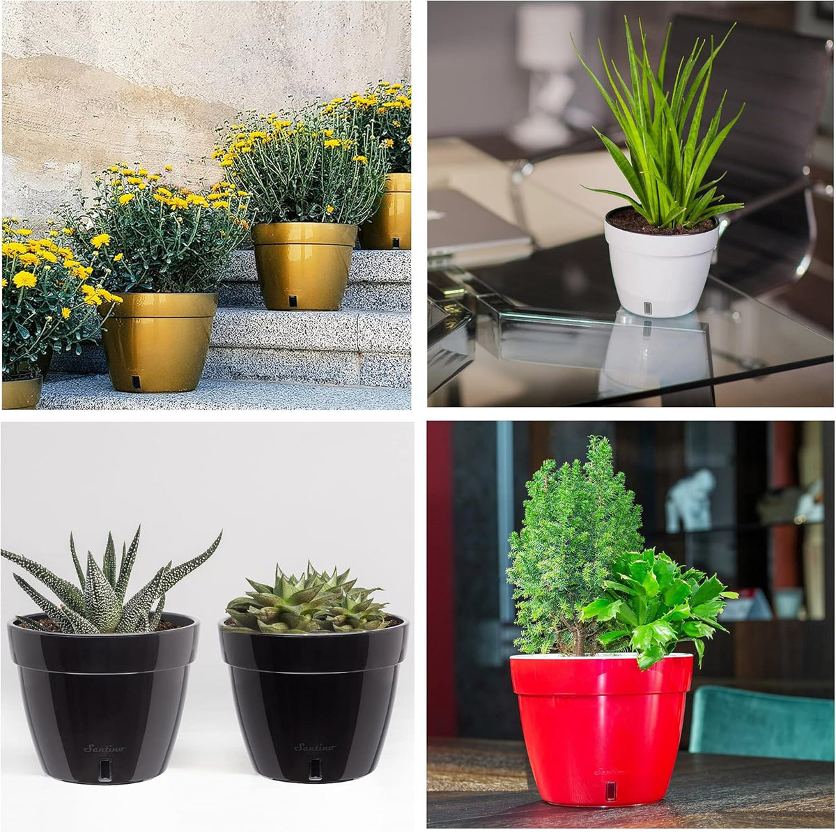 Santino AST 7.9 Inch Self Watering Planter Green-Gold/White for Indoor Plants - Premium Quality