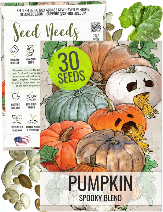 Seed Needs Spooky Blend Pumpkin Seeds - 30 Heirloom Seeds for Planting (Lumina White, Jack O