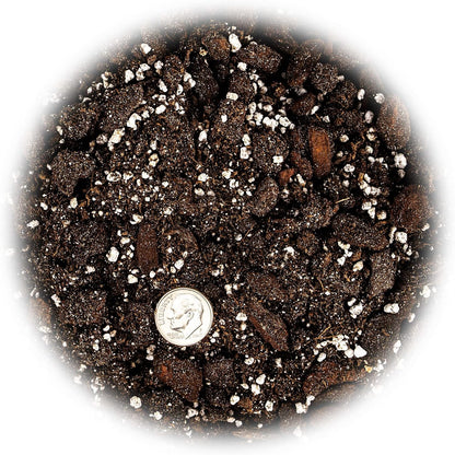 Gardenera Premium Albuca Spiralis Potting Soil Mix - Perfect Balance of Nutrients, Drainage, and