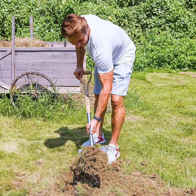 Berry&Bird Shovels for Digging, 43’’ Round Spade Heavy Duty Shovel with Wooden D Handle Stainless