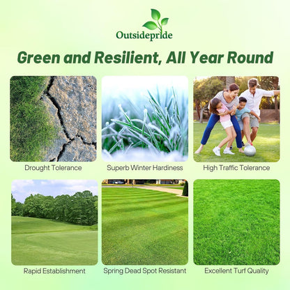 Outsidepride Yukon Bermuda Grass Seed - 5 lbs Cold & High Traffic Tolerant, Premium Hybrid Bermuda