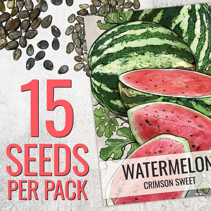 Seed Needs Watermelon Seeds for Planting Fruits - Non-GMO Heirloom & Untreated Water Melon Seed to