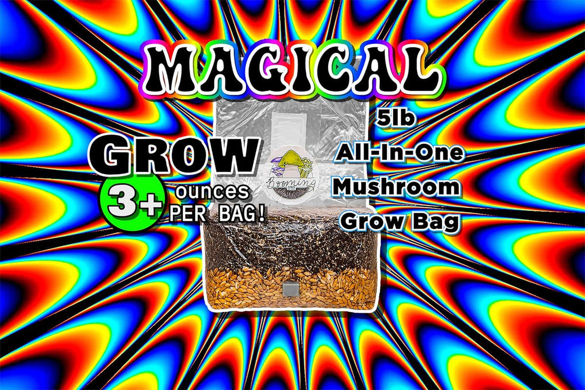 | The Magical 5lb All-in-One Mushroom Grow Bag | Mushroom Grow Kit | Harvest Your own Happiness |