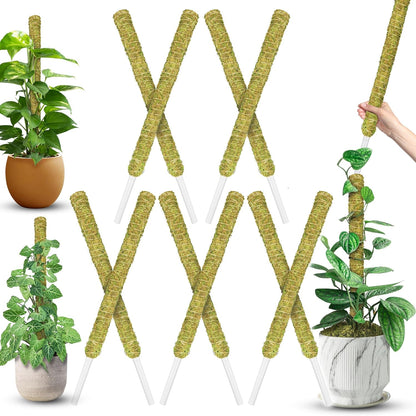 DUSPRO Natural Stackable Moss Pole for Plants Monstera Potted Plant Stakes for Indoor Plants
