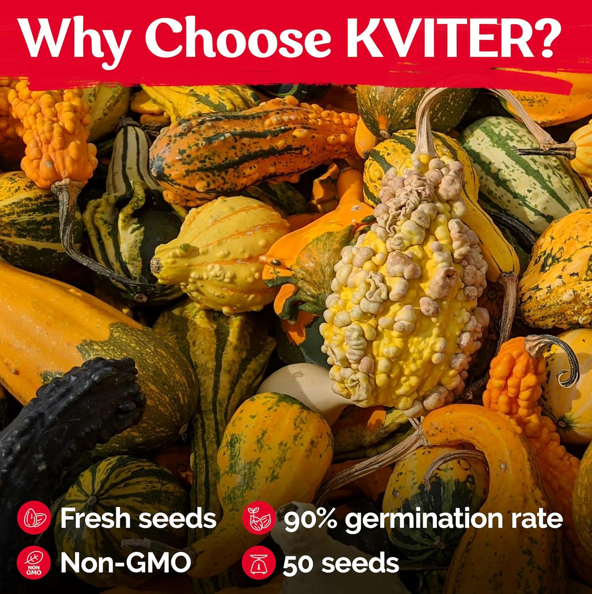 KVITER 50 Small Gourd Seeds Mix (Cucurbita Pepo) – Ornamental Fall Decor Gourds, Non GMO & Organic