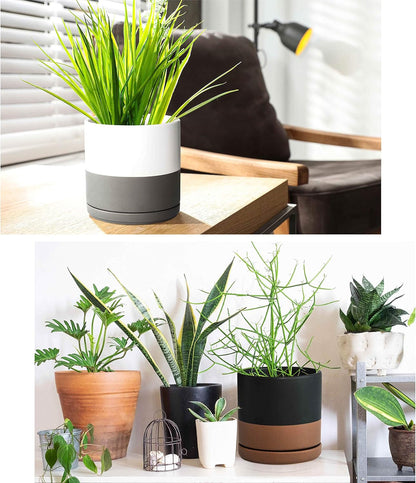 D'vine Dev Set of 2 Plants Pots, 6 Inch Ceramic Planter Pot for Plants with Drainage Hole and