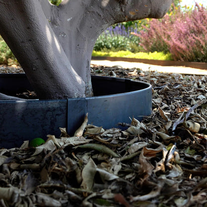 Circular Tree Ring Edging Kit - COR-Ten Steel - Landscape Edging