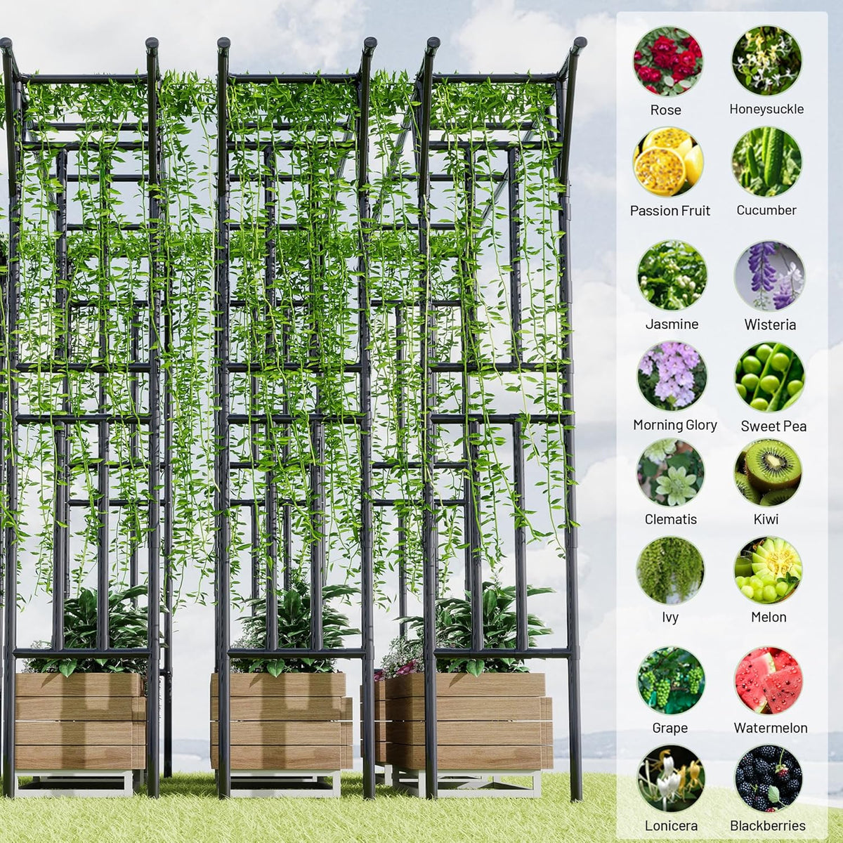 Flat Top Garden Arch Trellis 11FT x 9FT, Super Large Arbor Trellis for Climbing Plants Outdoor