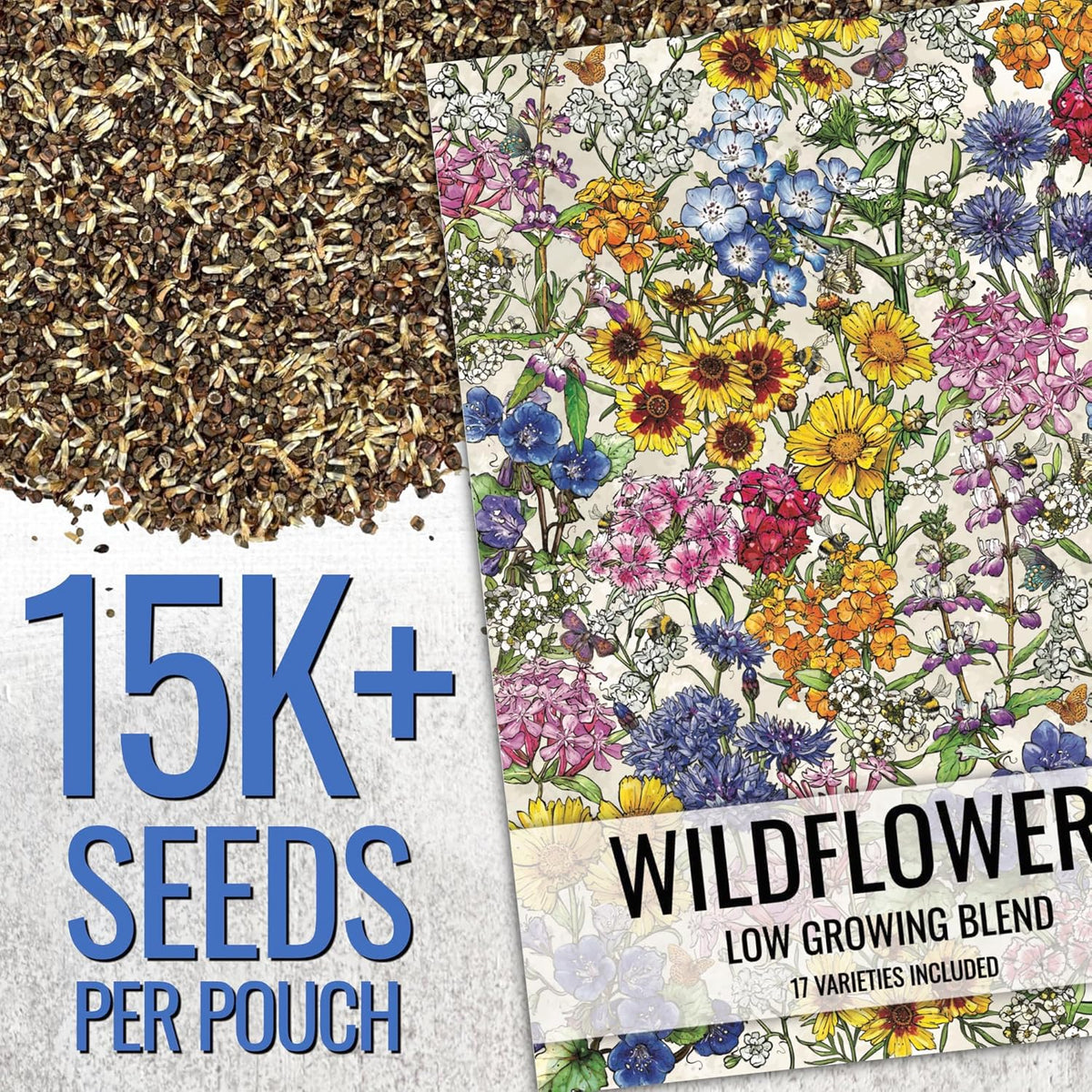 Seed Needs Low Growing Wildflower Flower Seeds for Planting | 2 Packs (1 Ounce Each) Mixture/Blend