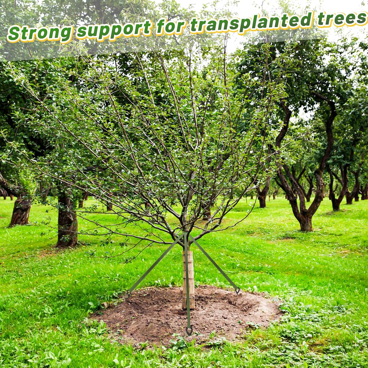 Biubee 2,425 Lbs Strength Tree Straps - 108FT Tree Tie Support Straps for Staking, Green Blend in