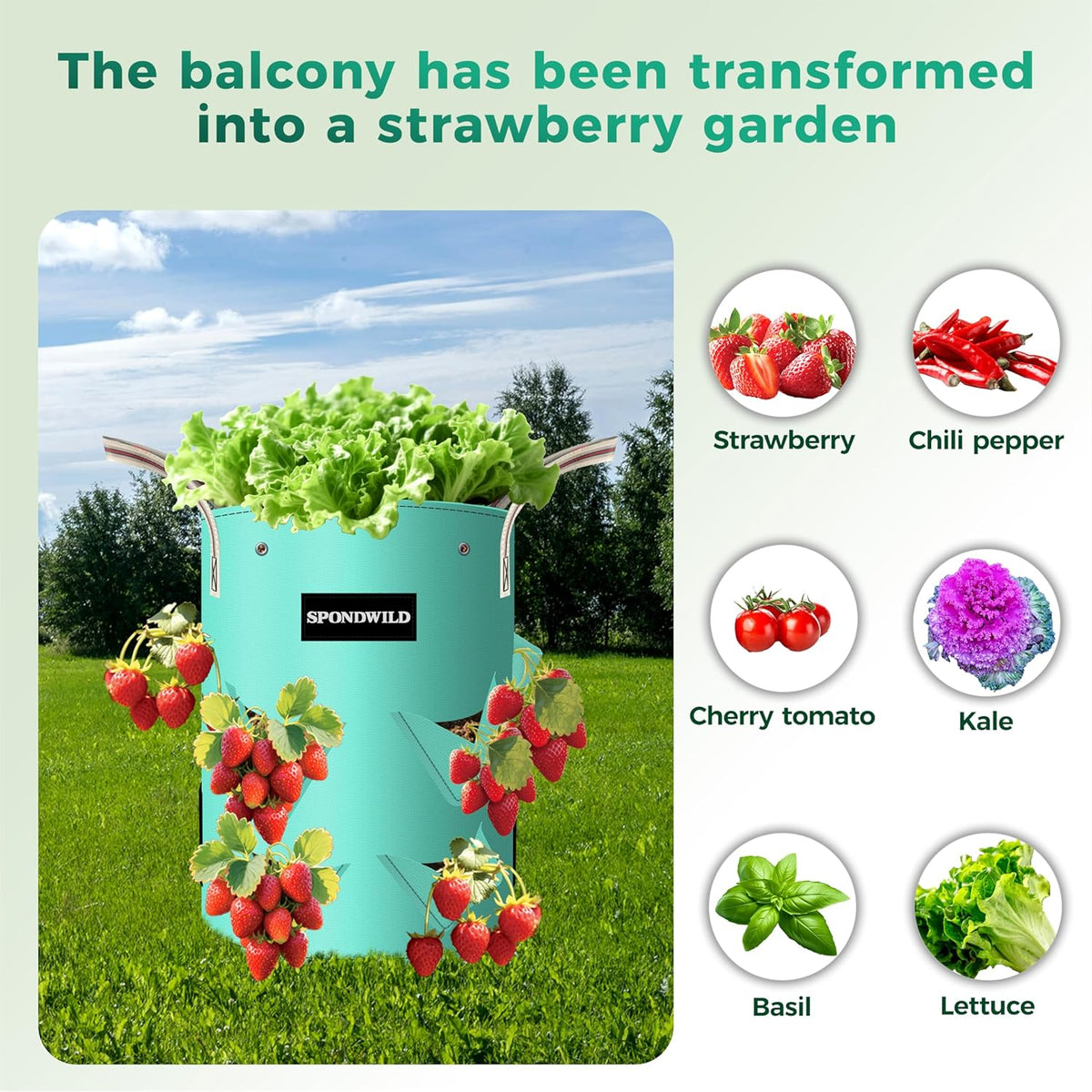 3 Pack 10 Gallon Strawberry Grow Bags, Heavy Duty Reusable PE Pots with Breathable Window, Branch &