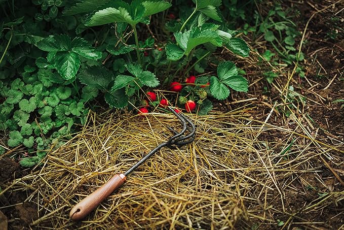 Barebones Cultivator - Weed Remover Tool - Garden Rake and Weeding Tool for Yard Work - Stainless