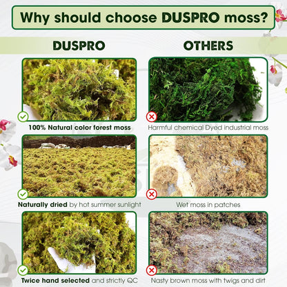 DUSPRO Big Bag Dried Forest Moss for Plant Propagation Sphagnum Moss Bulk for Orchid Repotting Mix