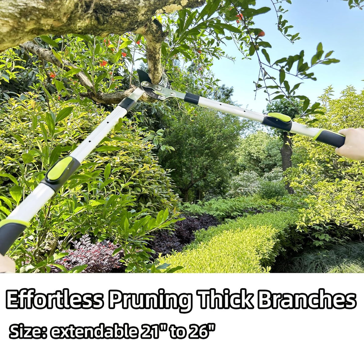 Loppers for Tree Trimming Heavy Duty Branch Cutter with Compound Action, Effortless Tree Pruner