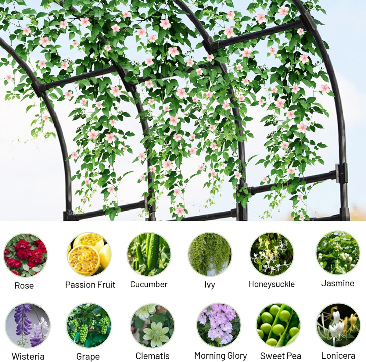 Twira Half Side Garden Arch Trellis, 7.9FT Metal Arbor Trellis for Climbing Plants Outdoor, Black