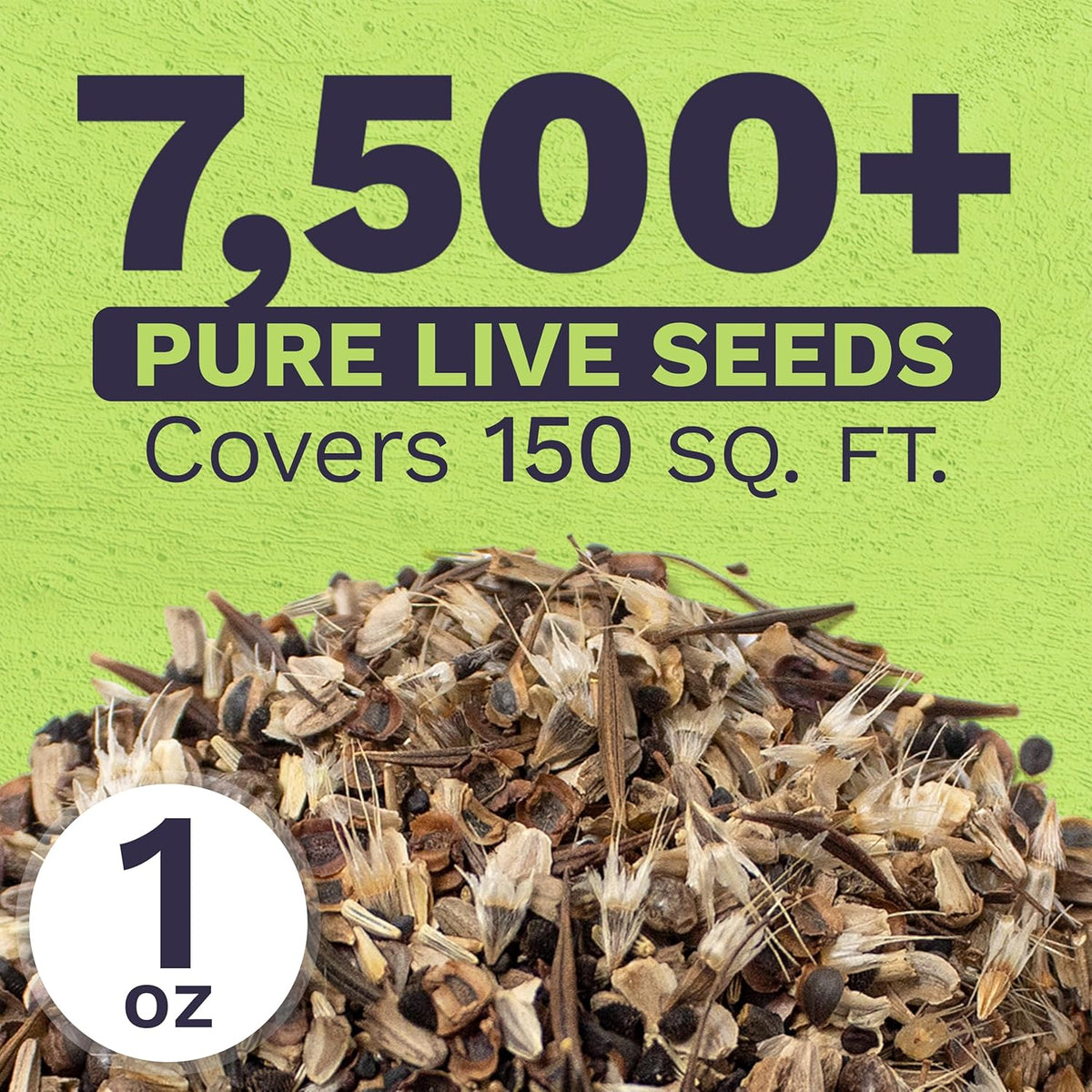 Cut Flower Garden Seeds - Extra Large 1 Ounce Packet - Over 7,500 Fresh Open Pollinated Non-GMO