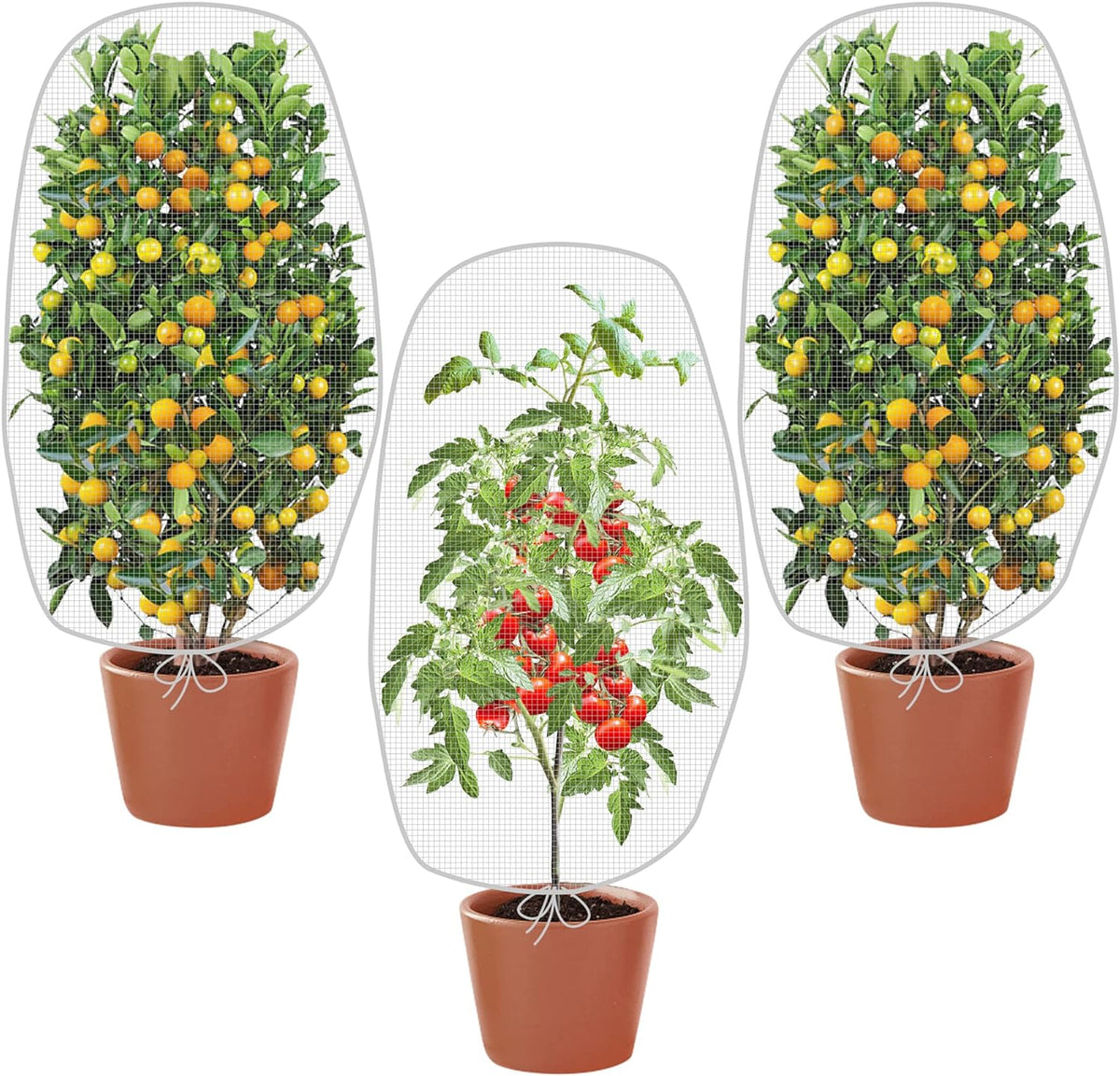 Alpurple 3 PCS Insect Bird Barrier Netting Mesh with Drawstring- 3.2 x 2.6 Feet Fruit Tree