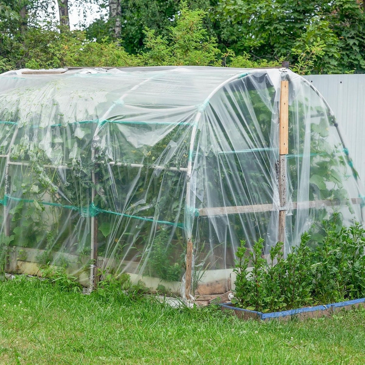 6 Mil Clear Greenhouse Plastic Sheeting,Transparent Plastic Film for Greenhouse, UV Resistant