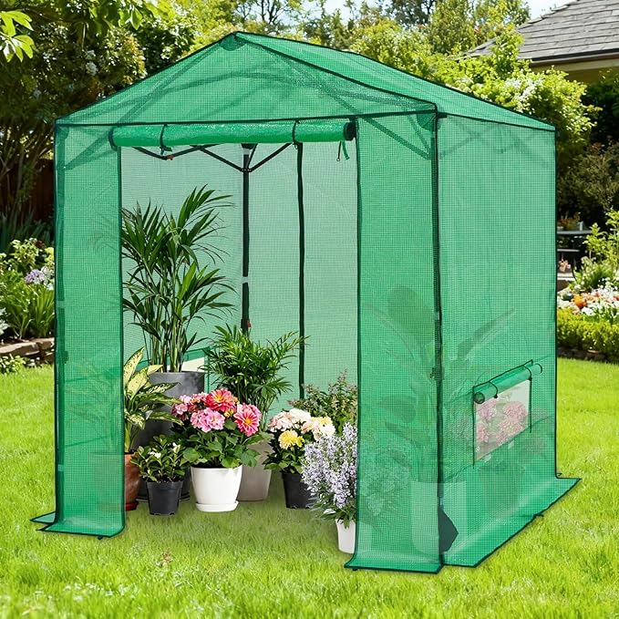 COOS BAY 6x6 FT Portable Walk-in Greenhouse, Pop up Outdoor Green House with Power Access Openings
