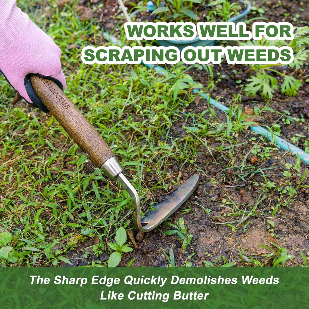 Haliaeetus Gardening Sickle Hoe, Japanese Bent Angle Weeding Sickle, Stainless Steel Weed Hoe