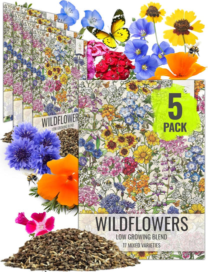 Seed Needs Low Growing Wildflower Flower Seeds for Planting | 5 Packs (1 Ounce Each) Mixture/Blend